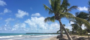 playas de brasil 2018